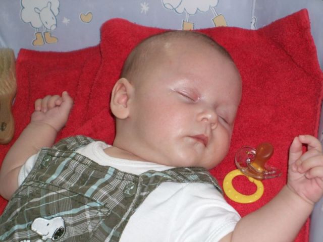 2008_0728_baumi_doris0048.JPG