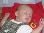 2008_0728_baumi_doris0048.JPG