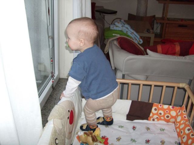 2009_0316_m_rz0001.JPG