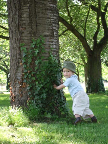 Wer ist st�rker, der Baum oder ich?