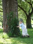 Wer ist st�rker, der Baum oder ich?