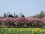 2009_0404_april0099.JPG
