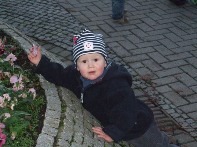 2009_1205dezember0005.JPG