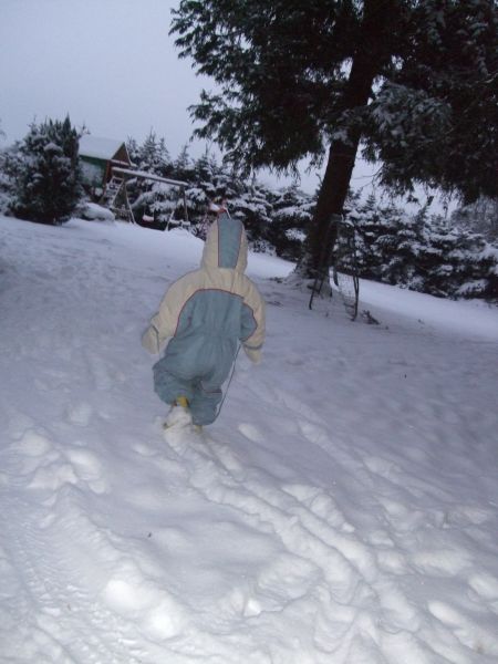 2010_0105_januar0015.JPG