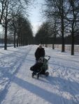2010_0131_januar0039.JPG