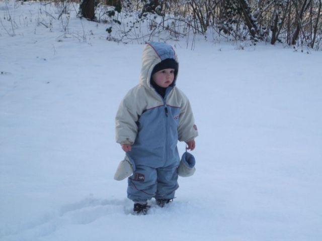 2010_0131_januar0052.JPG