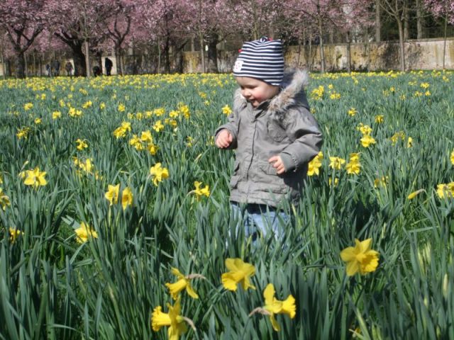 2010_0403m_rz0014.JPG