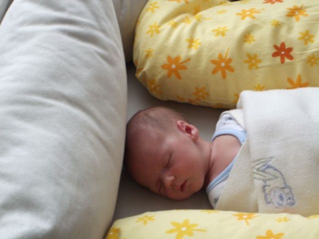 2008_05310081.JPG