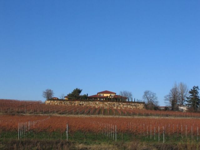 IMG_8551.JPG
