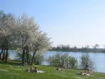 IMG_7426.JPG