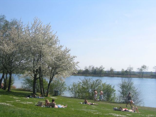 IMG_7426.JPG